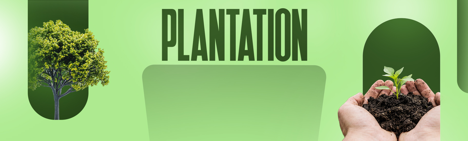 Tree plantation and various activities